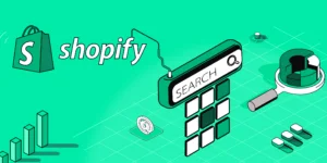Shopify Email Marketing Integration